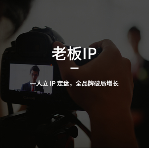 老板IP